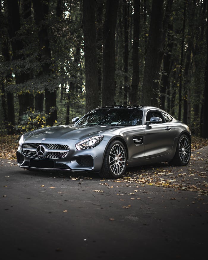 services-05 Luxurious Mercedes-Benz AMG GT parked in a serene forest setting.