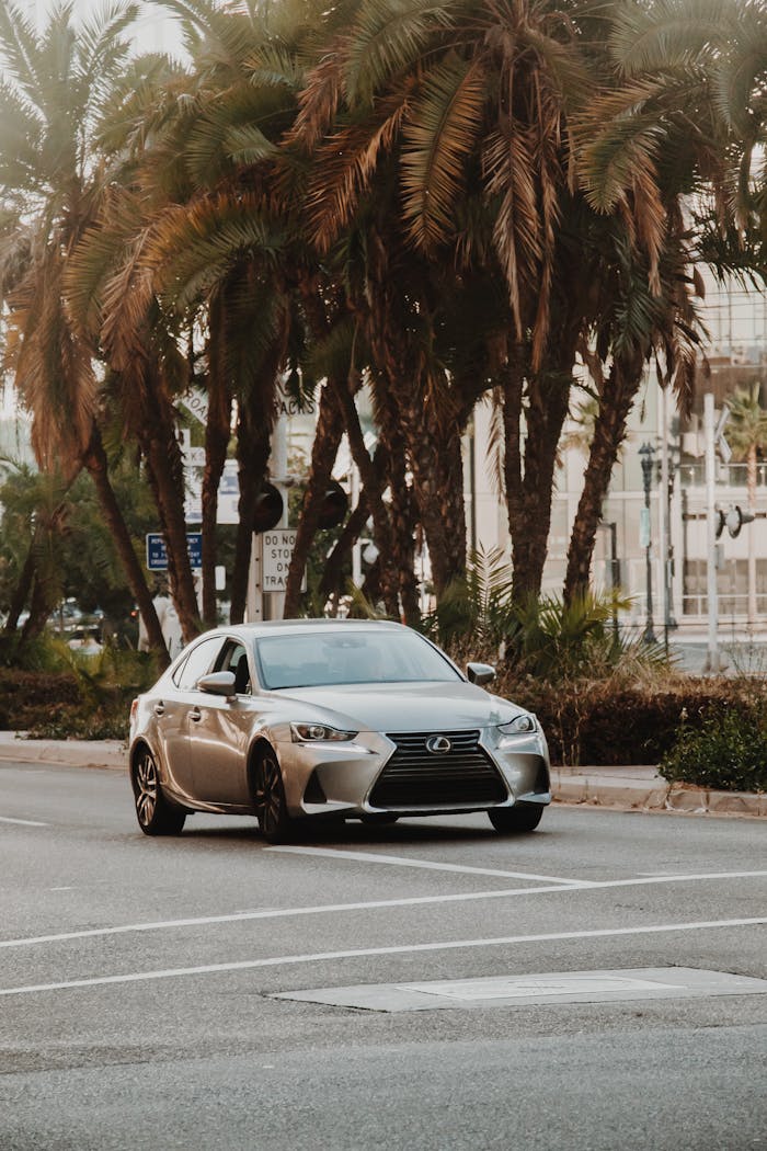 A silver car drives through a palm-lined street in San Diego, California.